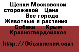 Щенки Московской сторожевой › Цена ­ 35 000 - Все города Животные и растения » Собаки   . Крым,Красногвардейское